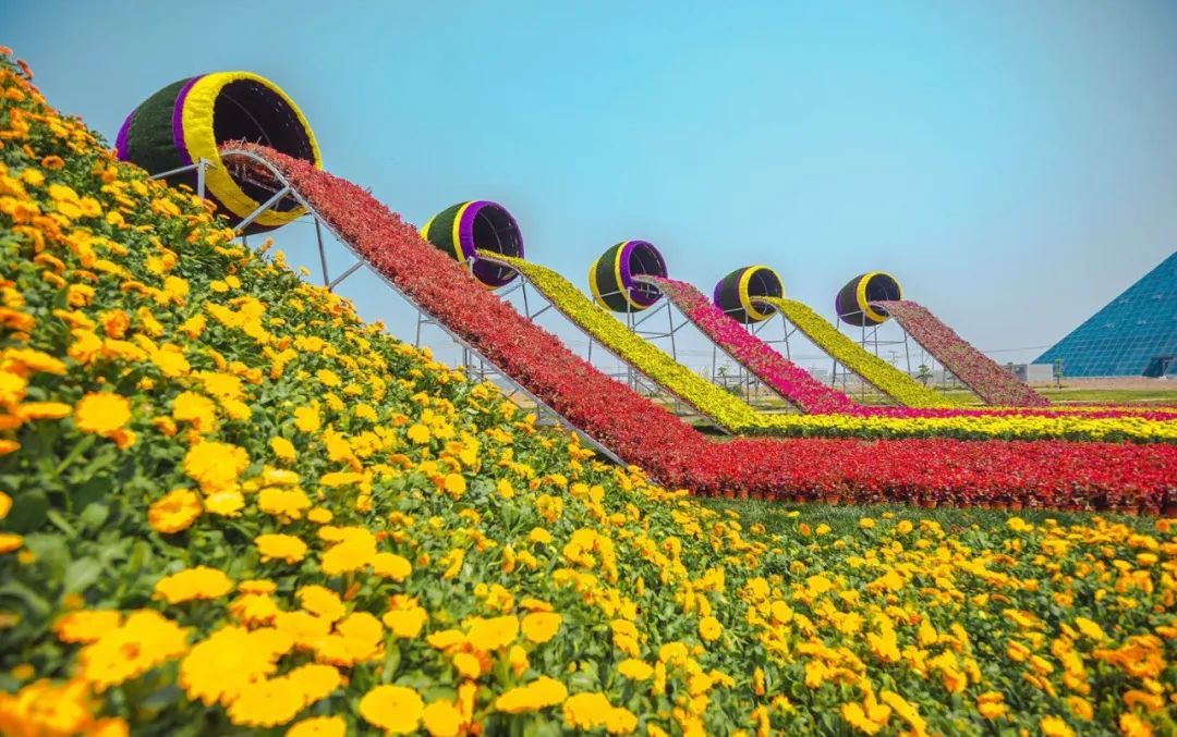 五一假期潍坊赏花踏青地推荐！这8个小众的绝美之地，一定要去走一走啊...