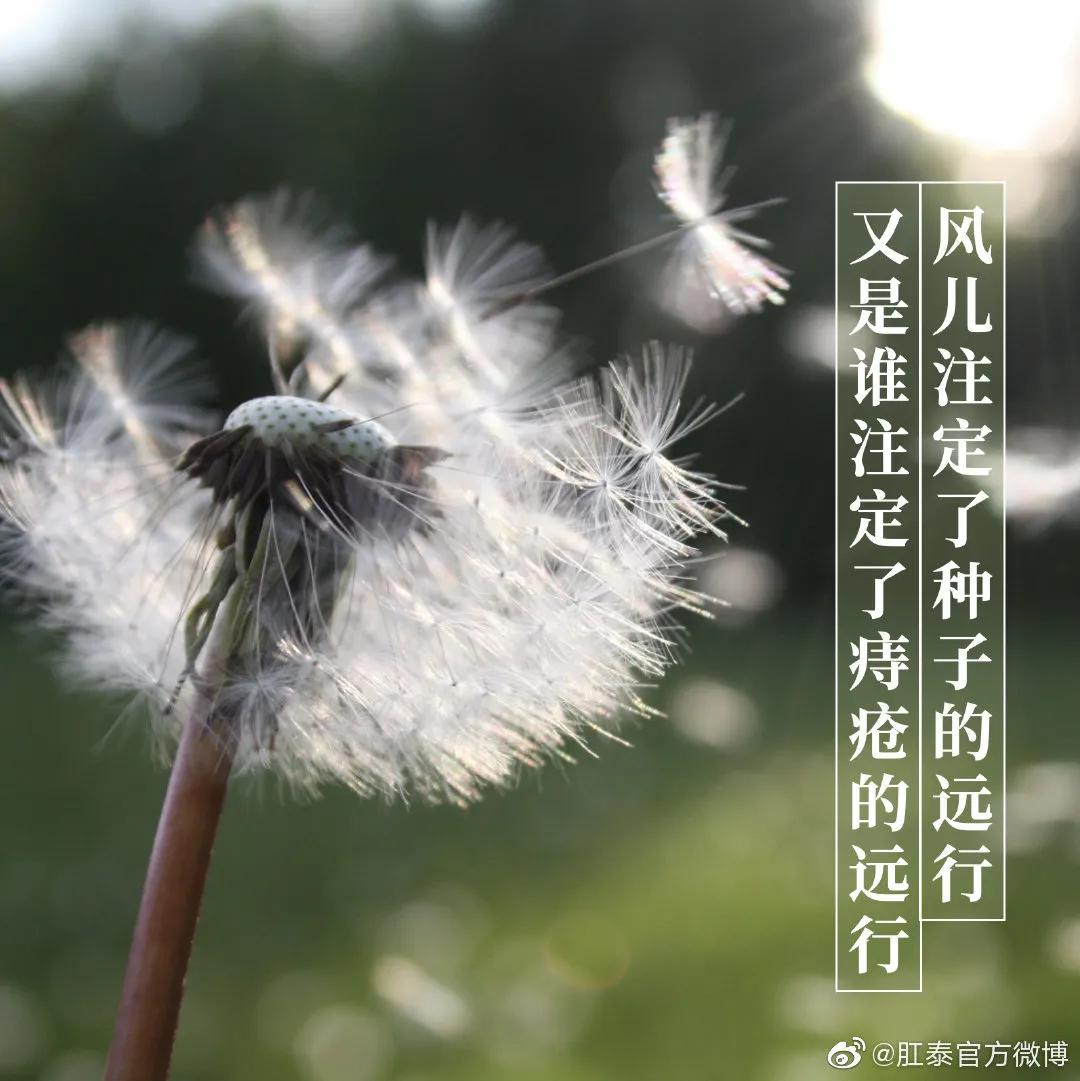 比肩杜蕾斯，肛泰这半年赢麻了