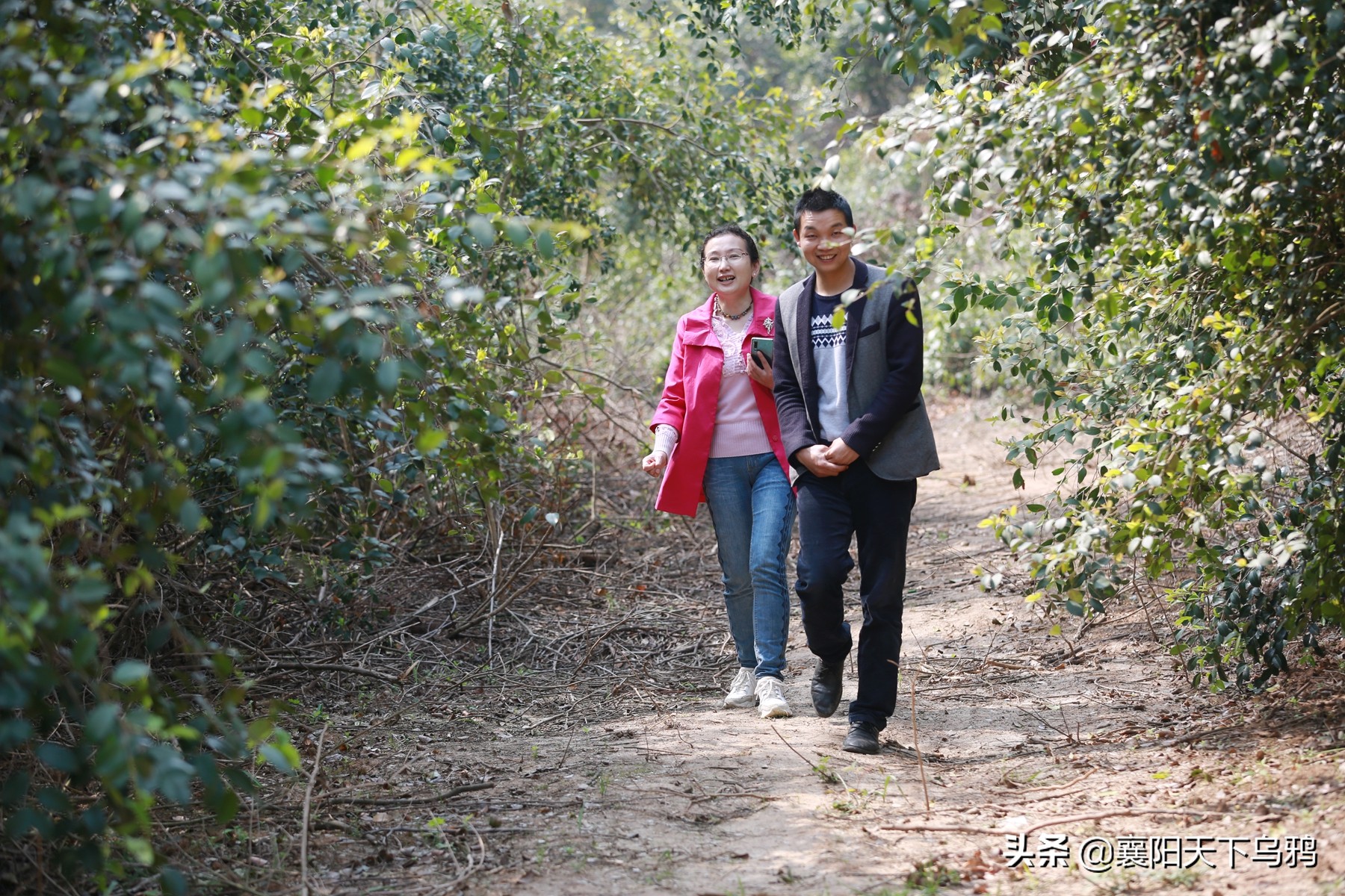 喻家湾年轻的村官叫磊娃儿