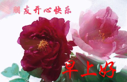 中老年表情包一切的美好源于早晨,中老年表情包活在当下且行且珍惜