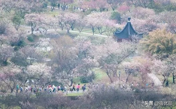 32张美景图片,苏州东山西山风景区哪个更值得去