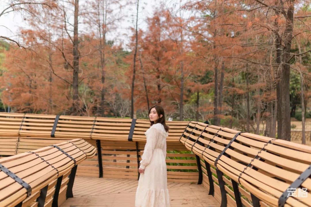 莲花山为啥一夜就火了,莲花山景区