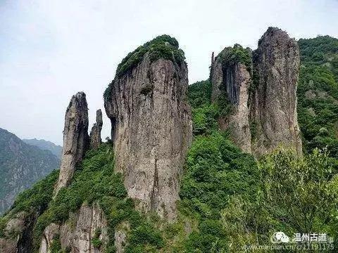 乐清屿头村旅游景点,温州乐清小岛旅游攻略图
