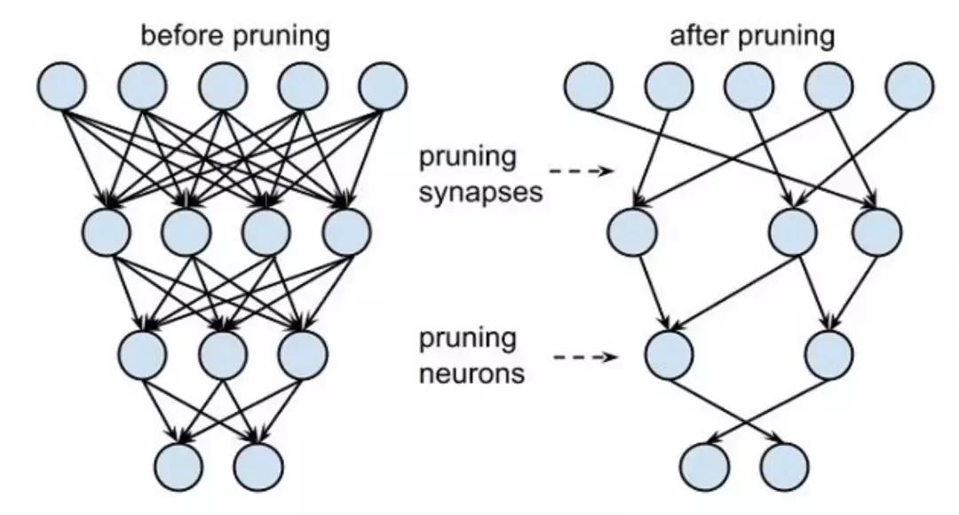 脑科学与心理健康教育,脑科学大脑是可以训练的