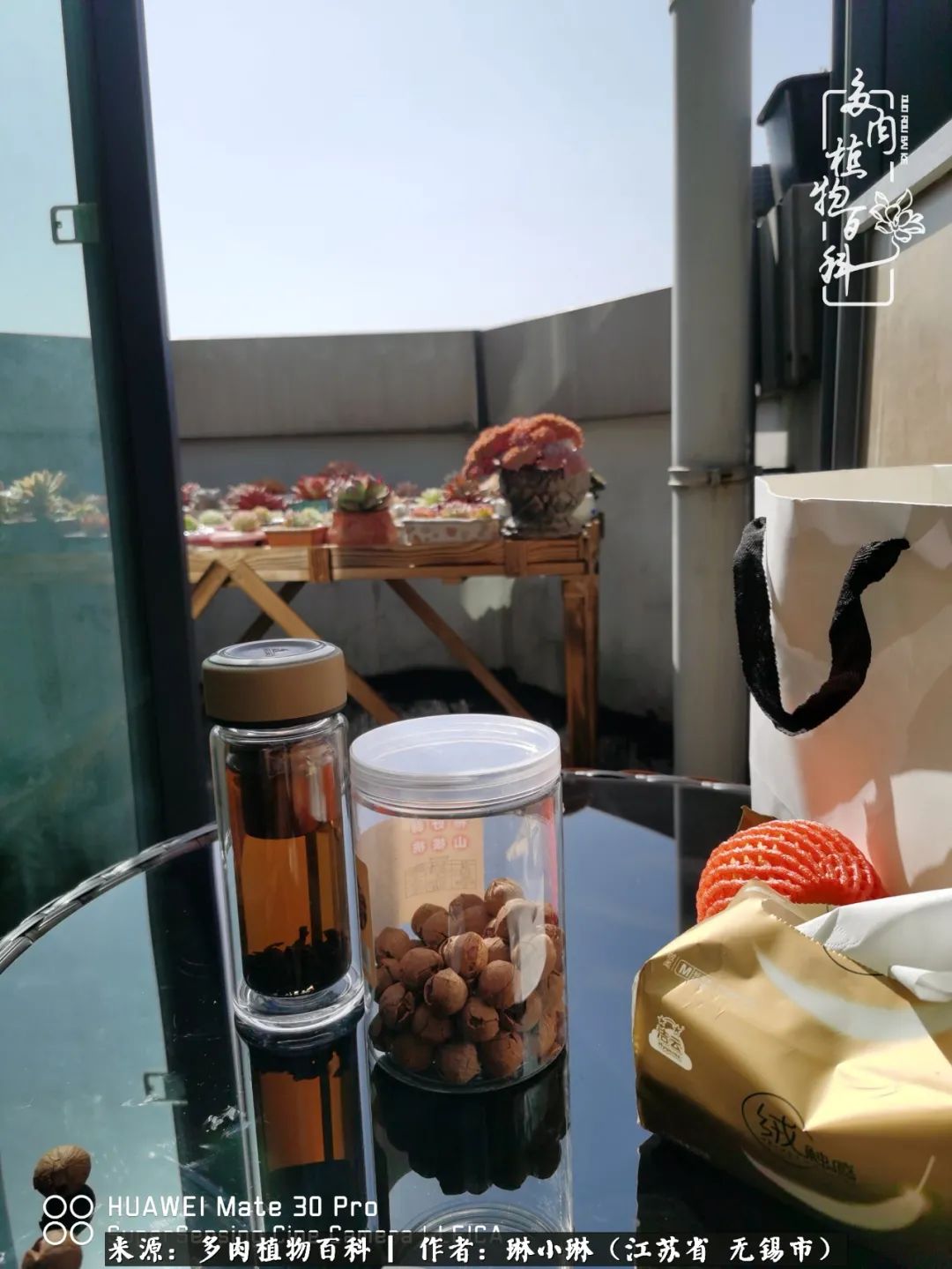 又到多肉变美时，一切都鼓励我积极向前