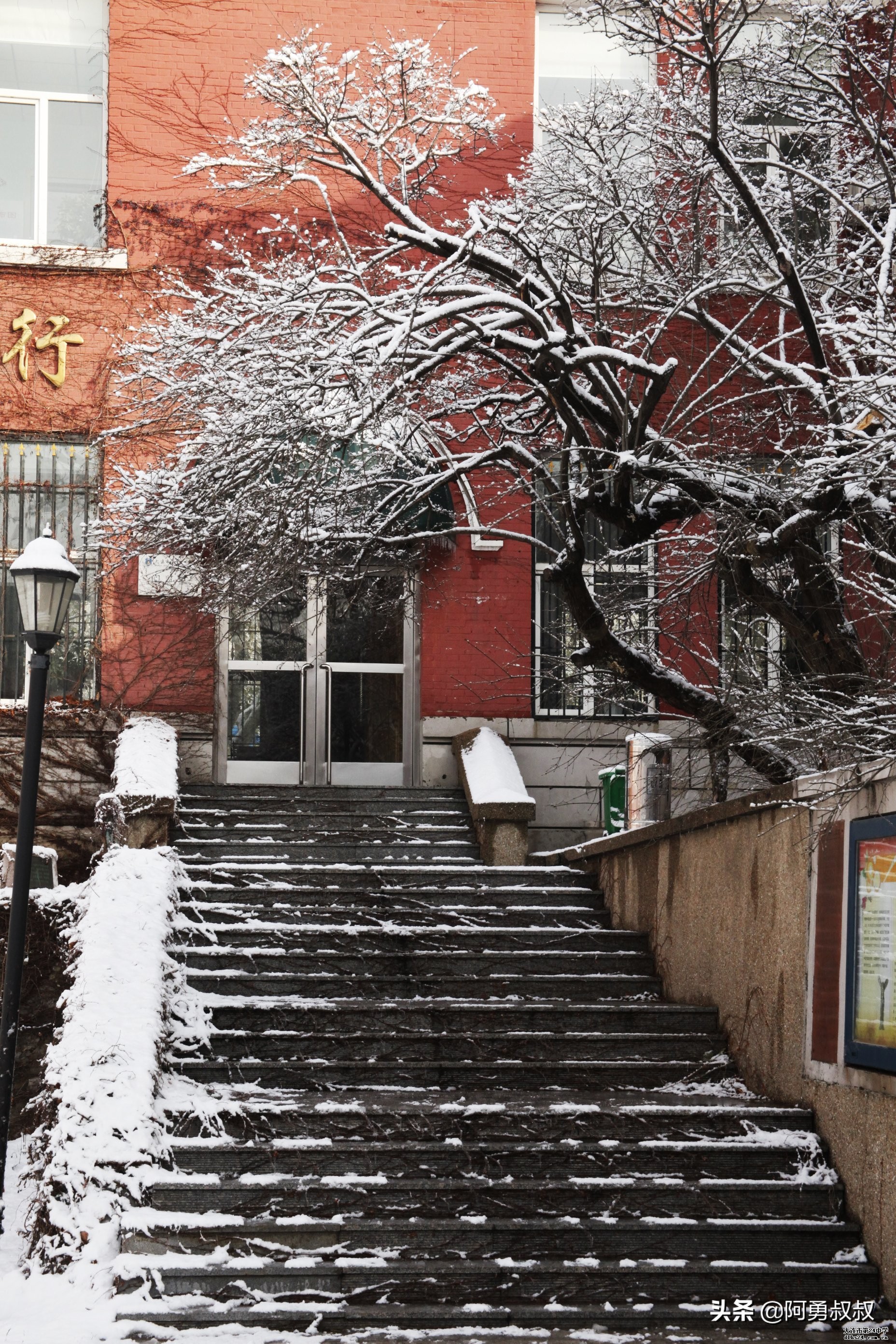 大连全国百强国际学校,大连第二十四中学全国排名