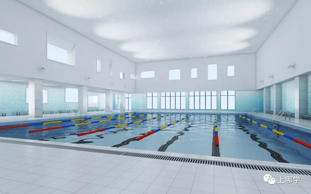 上海2020新增学位,上海各大学2024新增学位点