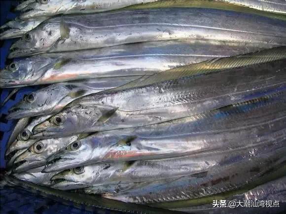 作为潮汕人，这89种海鲜你都能对上号吗