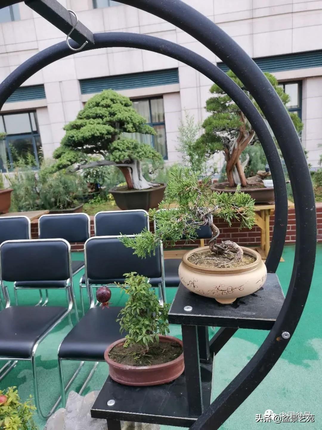 涓浗钁楀悕鐩嗘櫙澶у笀绮惧搧鐩嗘櫙,鐩嗘櫙鑹烘湳瀹跺拰鐩嗘櫙鑹烘湳澶у笀