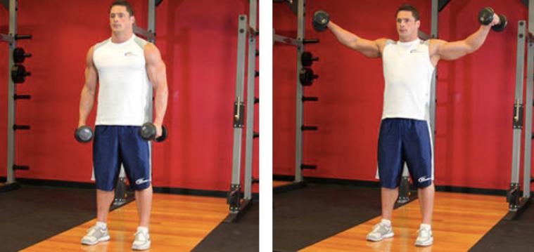 手臂肥胖纹怎么消除最快最有效,如何瘦胳膊大小臂3天