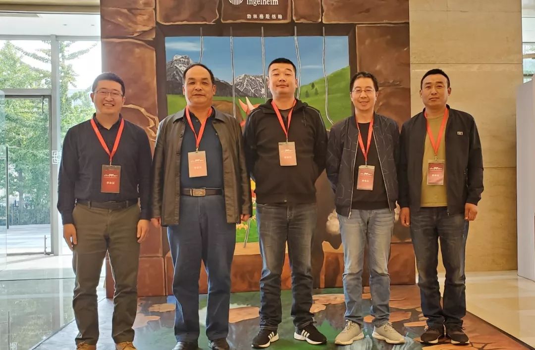 这一次，风口上站的是肉牛