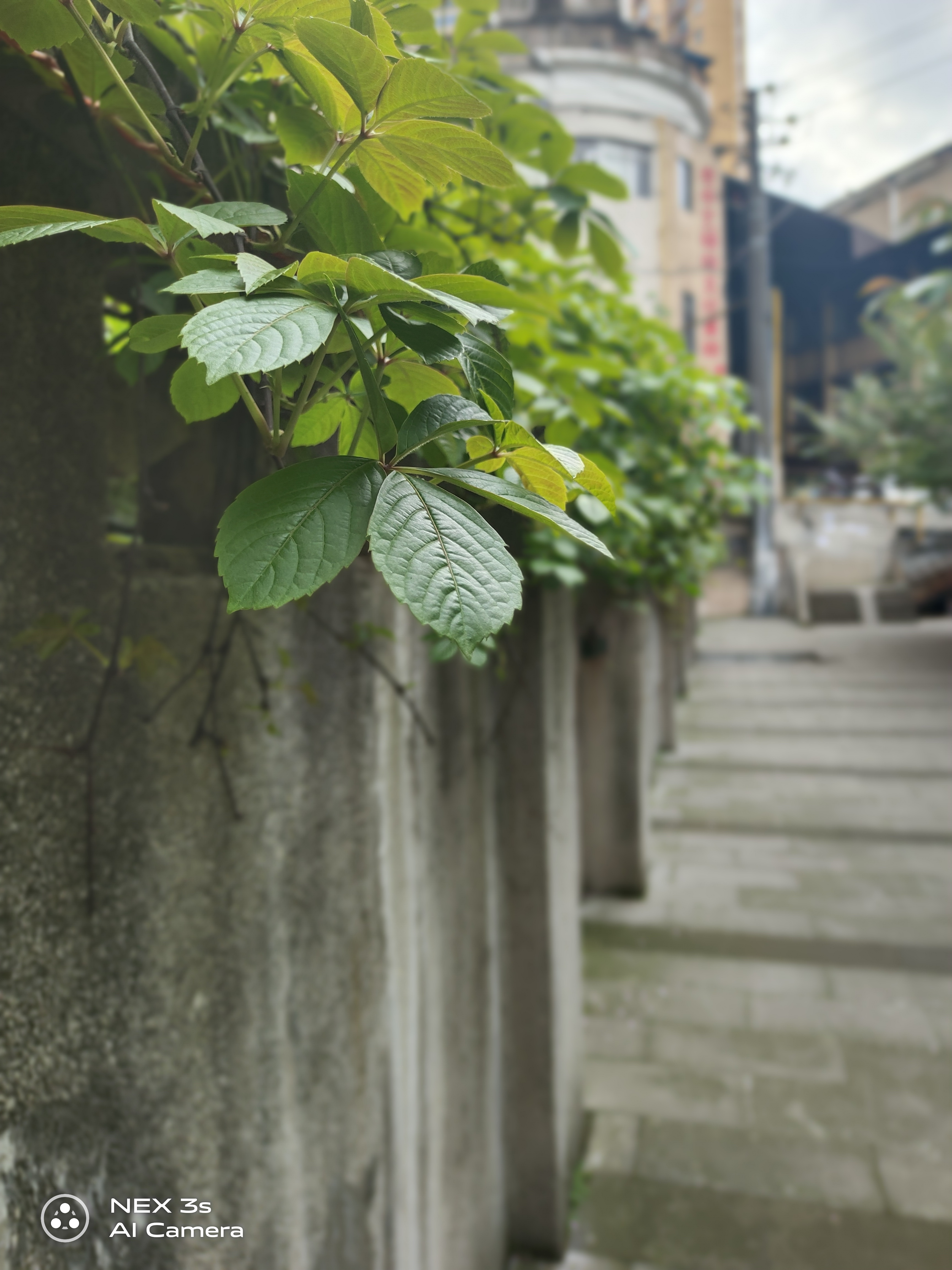 vivonex3搭载骁龙865,vivonex3s瀑布屏观感对比