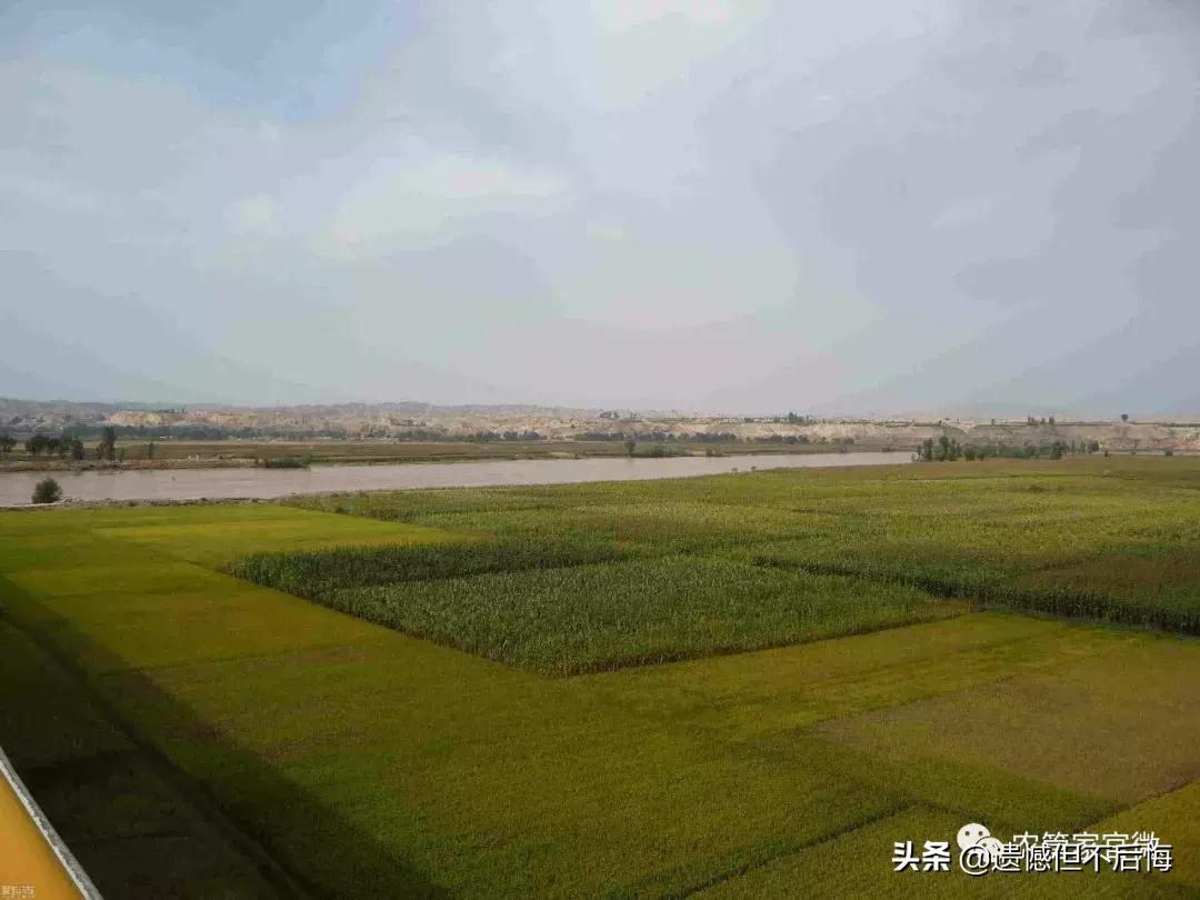 土地再延长30年没地的农民怎么办,土地承包后为什么增人不增地