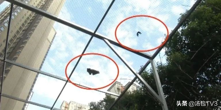 物业服务的好与坏得靠业主来评判,业主如何反对物业续聘