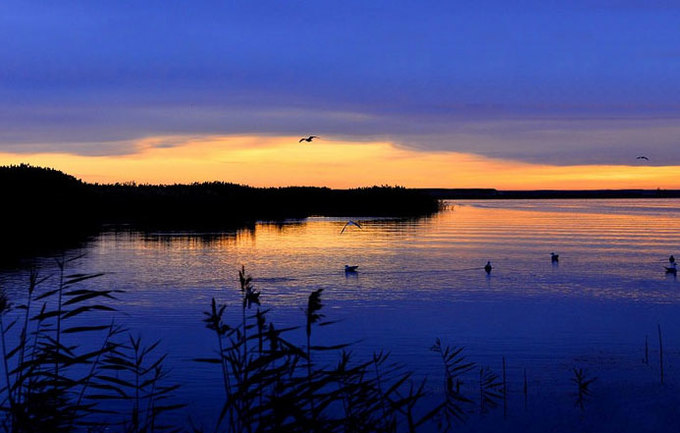来内蒙古额济纳旗感受秋天,额济纳旗秋天最佳旅游时间