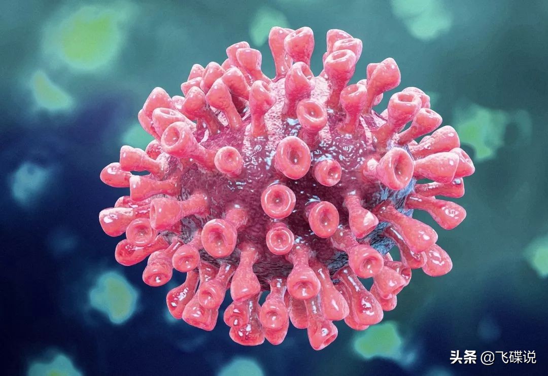 疫情期间我们如何防控病毒,病毒预防很重要防护意识要增强