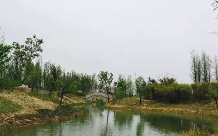 南京人少景美的免费公园,太全了全国旅游简图