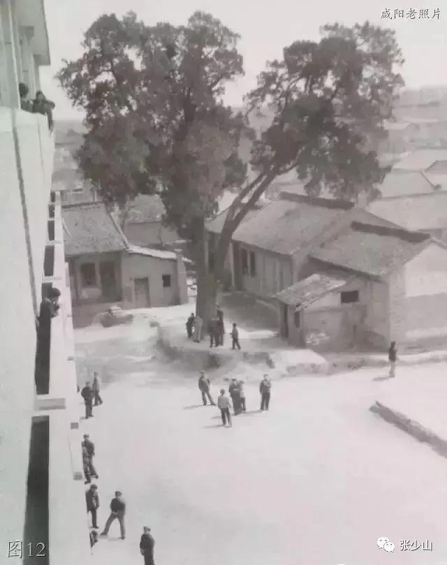 咸阳人眼中的长武,咸阳印象味道