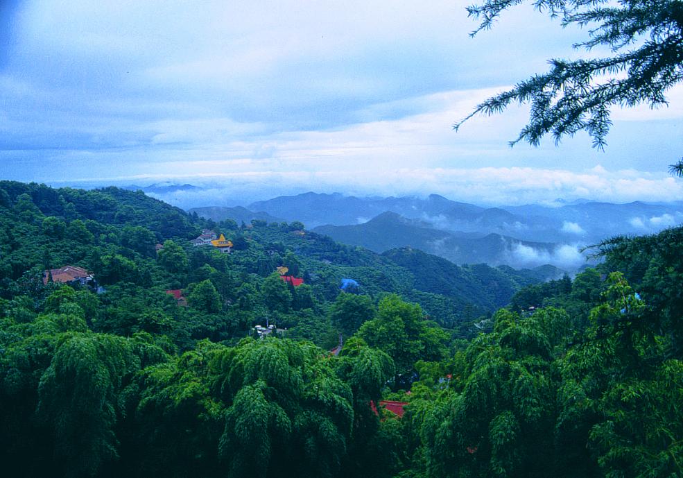 免费森林公园门票优惠活动,森林康养旅游胜地有哪些