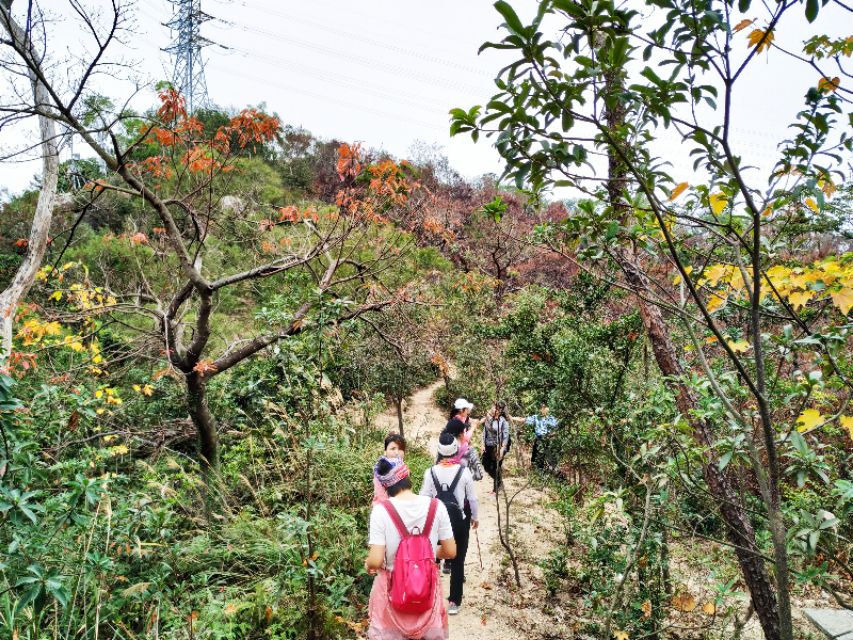 周日跟随珠海户外网板樟山游记