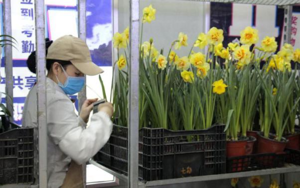 惠民又便民成都市民“菜篮子”有保障