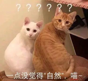 自然常数e的推导过程,自然常数e的真正含义