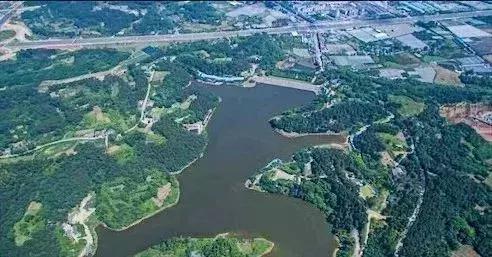 双流夜景必打卡之地,成都双流免费打卡景点