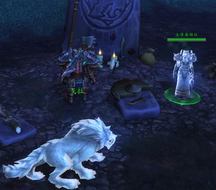 灵魂兽戈拉任务在哪里接,魔兽世界灵魂兽戈拉能抓几只