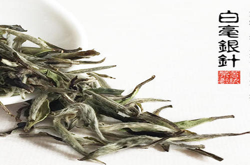 精选名茶白毫银针,白毫银针的历史起源和传说