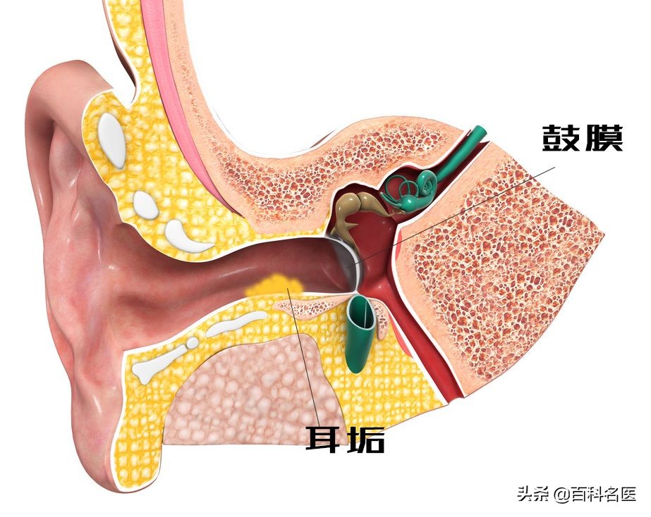 抠倒刺、抠痘痘、抠耳朵、抠鼻孔,请你不要到处抠抠