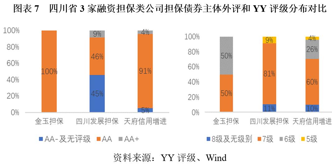 担保公司运营情况汇报材料,担保公司担保项目案例