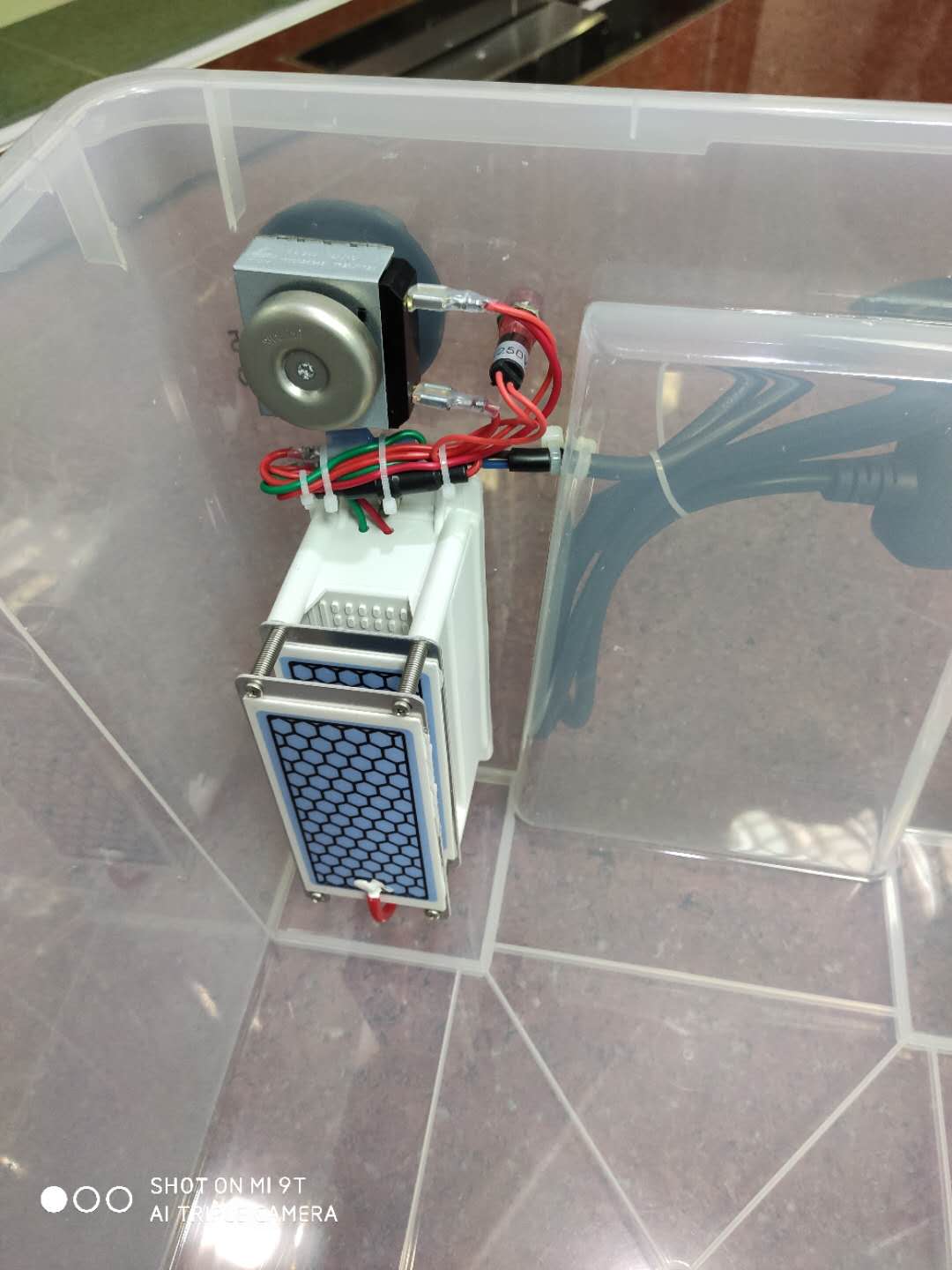 大自然的礼物868,大自然的礼物