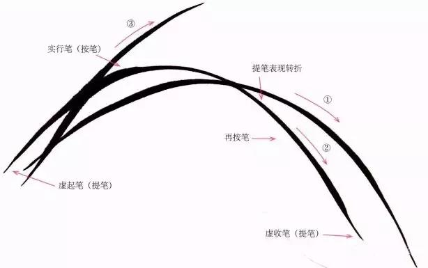 兰花绘画技法教程视频,泰国兰花绘画技法