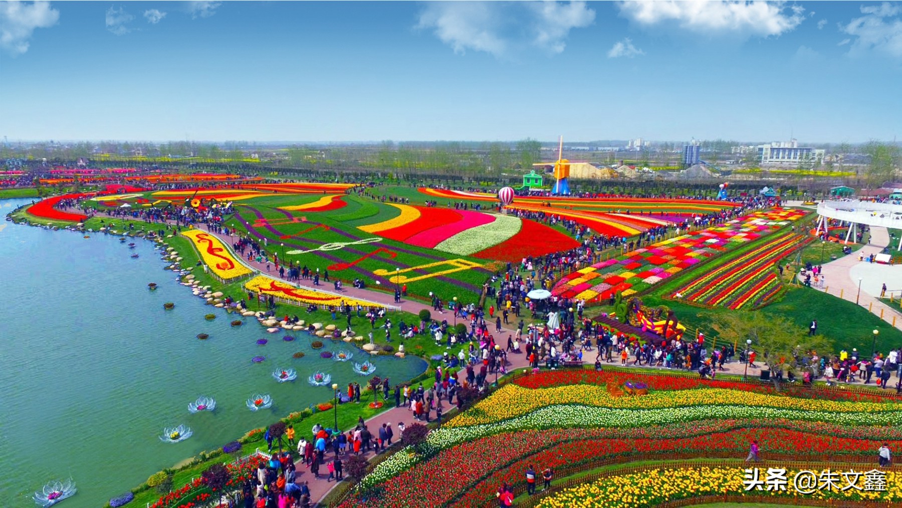 大丰荷兰花海郁金香开了没有,荷兰花海现在有郁金香吗