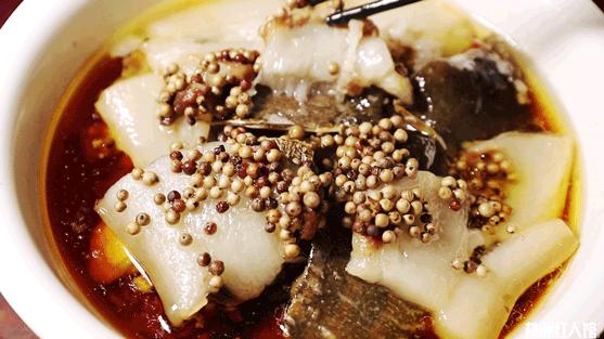 神经哥回归过程,神经哥原唱歌曲