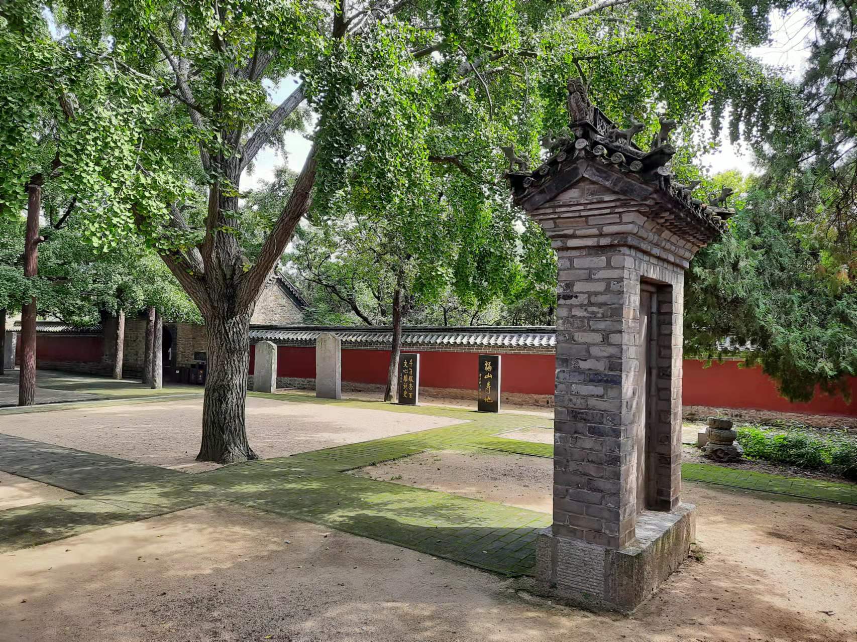 一个南方人对山东的看法,山东人在南方的印象