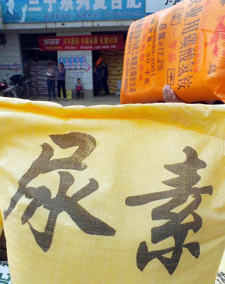 养羊每天吃多少小苏打和盐,养羊每天喂多少料为正确