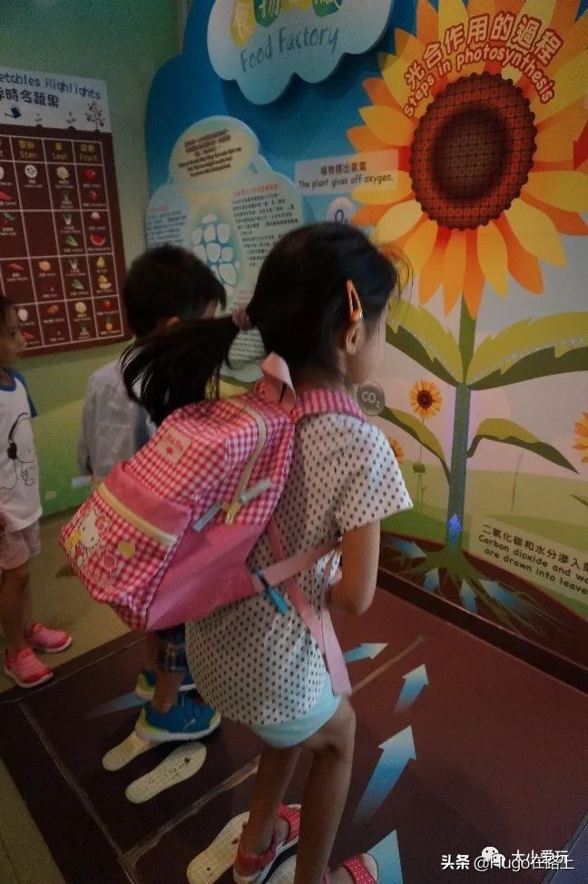 香港亲子游图文攻略图片大全,去香港亲子旅行攻略路线图片