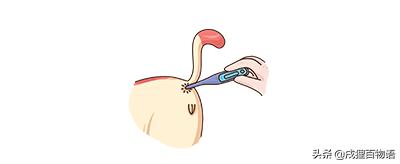 给猫咪量体温怎么量,在家给猫咪洗澡用多少度水