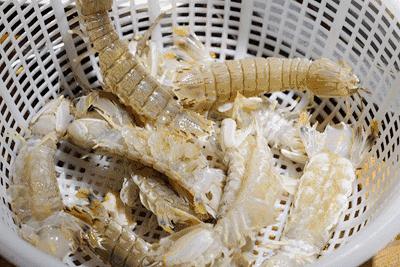 粽情端午游玩,粽情端午水上狂欢