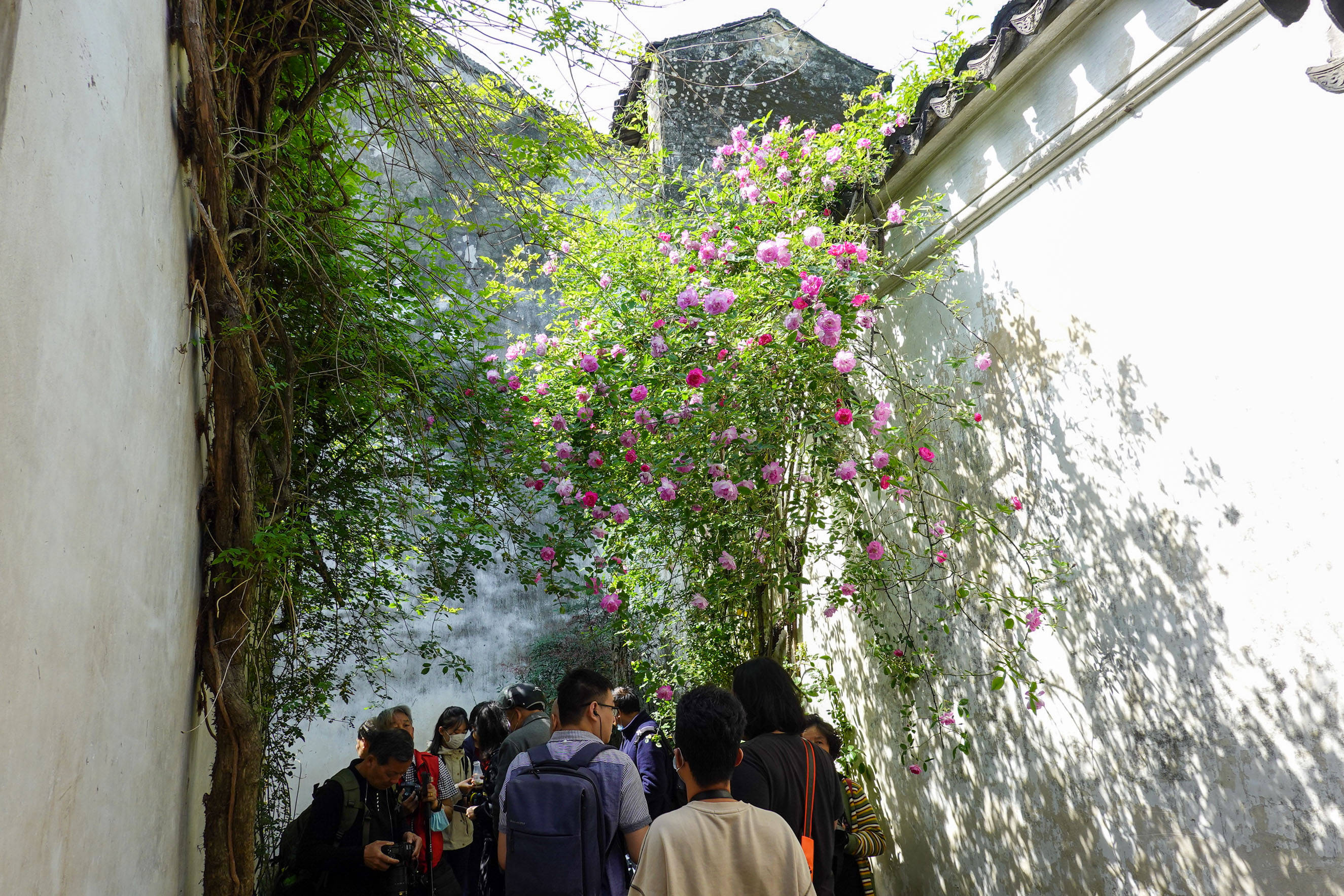 鑻忓窞鏃呮父灏忎紬鏃呮父鏀荤暐,鑻忓窞鏃呮父鏀荤暐灏忎紬鏅偣鎺ㄨ崘