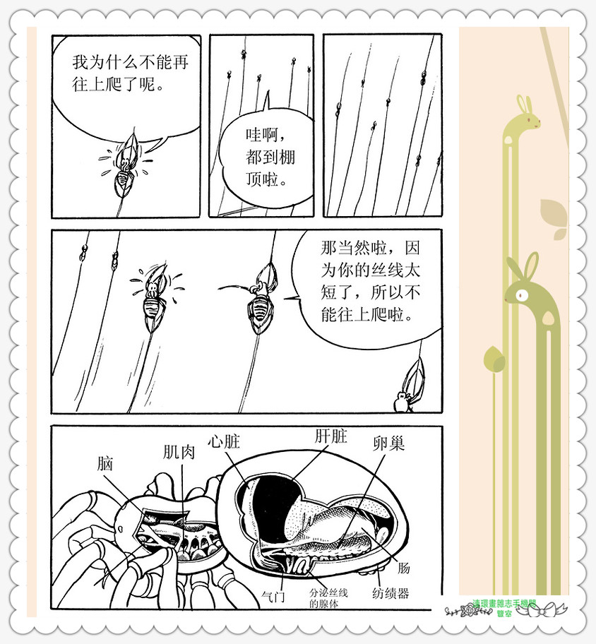 昆虫记法布尔正版全集,昆虫记法布尔阅读答案