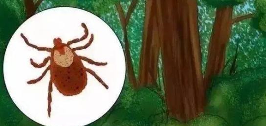 端午节怎么避毒,端午节需要注意的事项