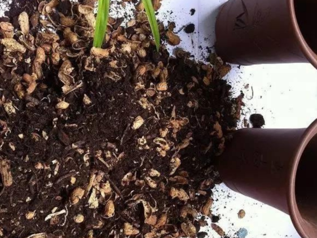 养花的轻质材料,养花积水烂根怎么处理