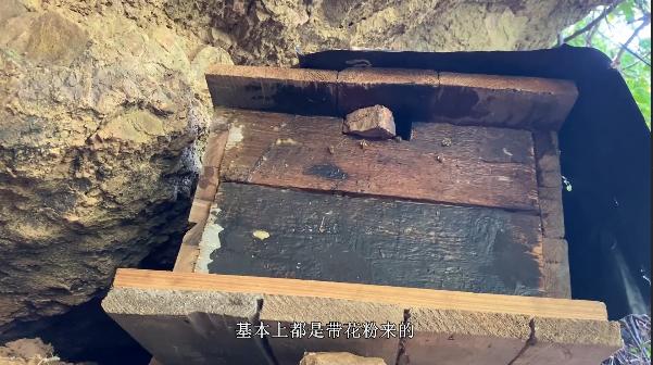 怎么样放诱蜂箱不被寻蜂人找到,秋季诱蜂箱放在哪些地方容易来蜂
