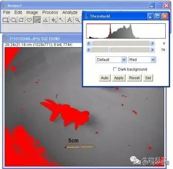 黄色和绿色如何用imagej分析,imagej图像分析教程