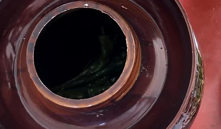 师傅教你腌咸菜,师傅教你腌辣椒