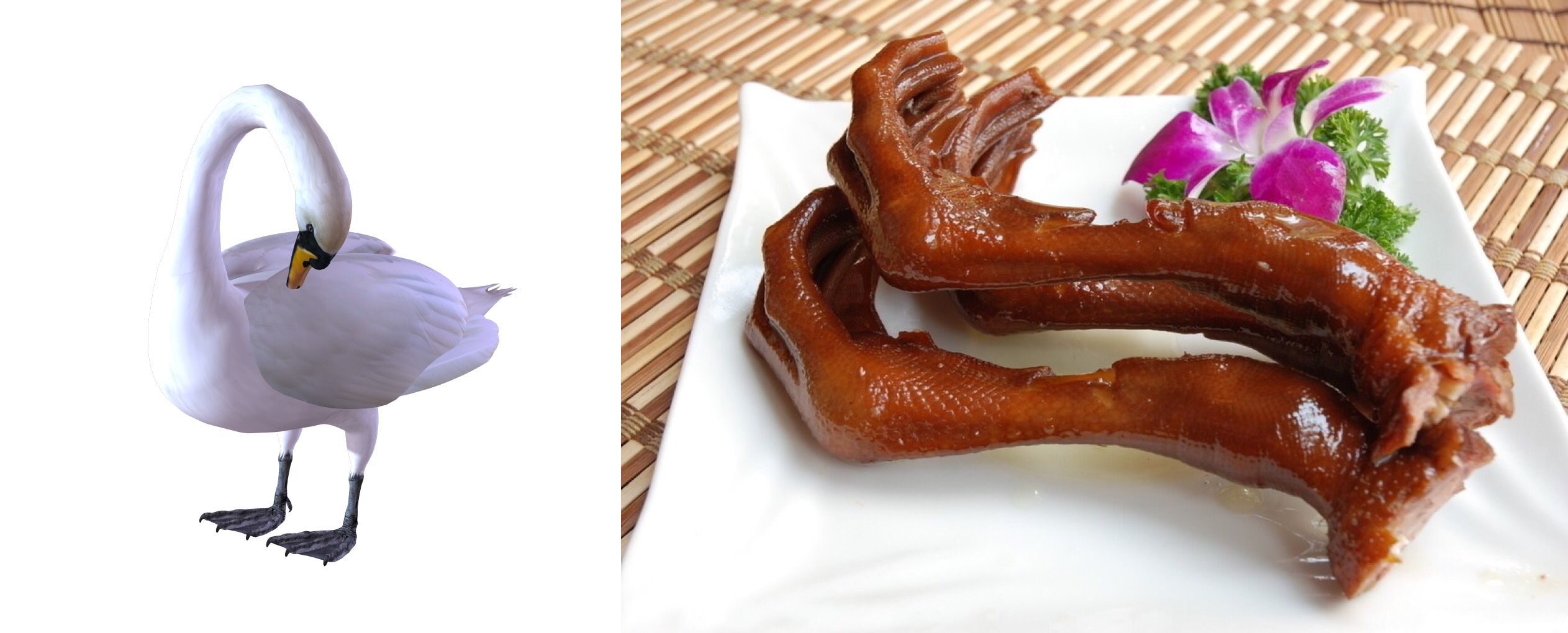 膝盖内侧鹅足腱肿了怎么治疗,腿部鹅足腱疼怎么解决