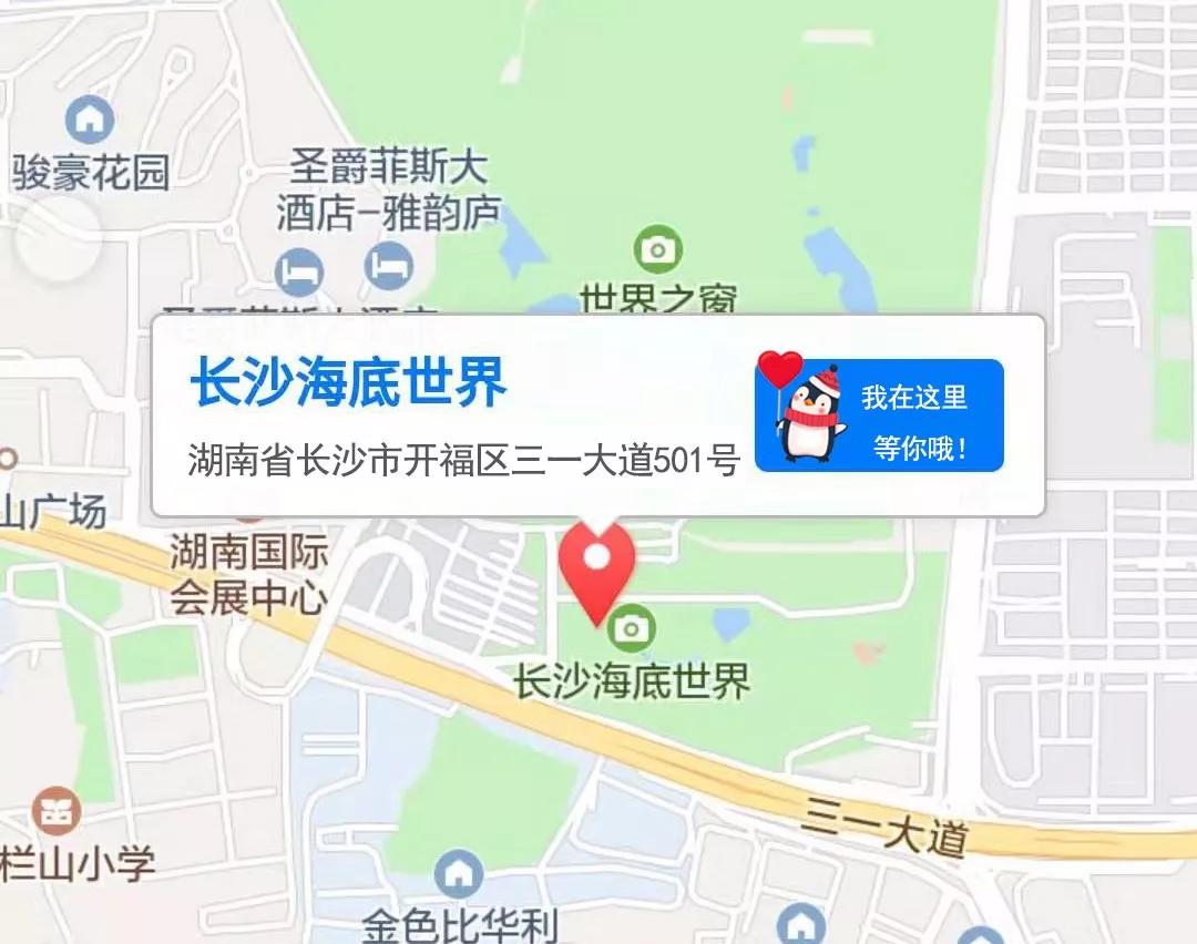 章鱼怎么有11只腕足,章鱼腕足为什么不能吸