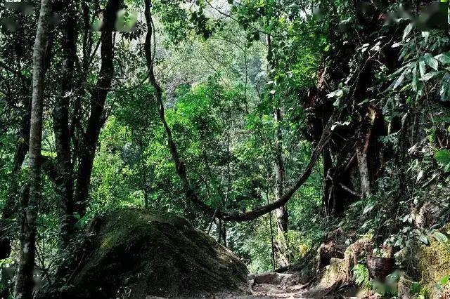 浜戝崡瀹夊畞娓╂硥灏忛晣,浜戝崡鏌娓╂硥灏忛晣